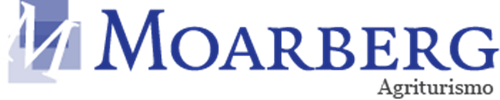 Logo It