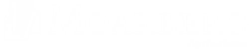 Logo It Weiß